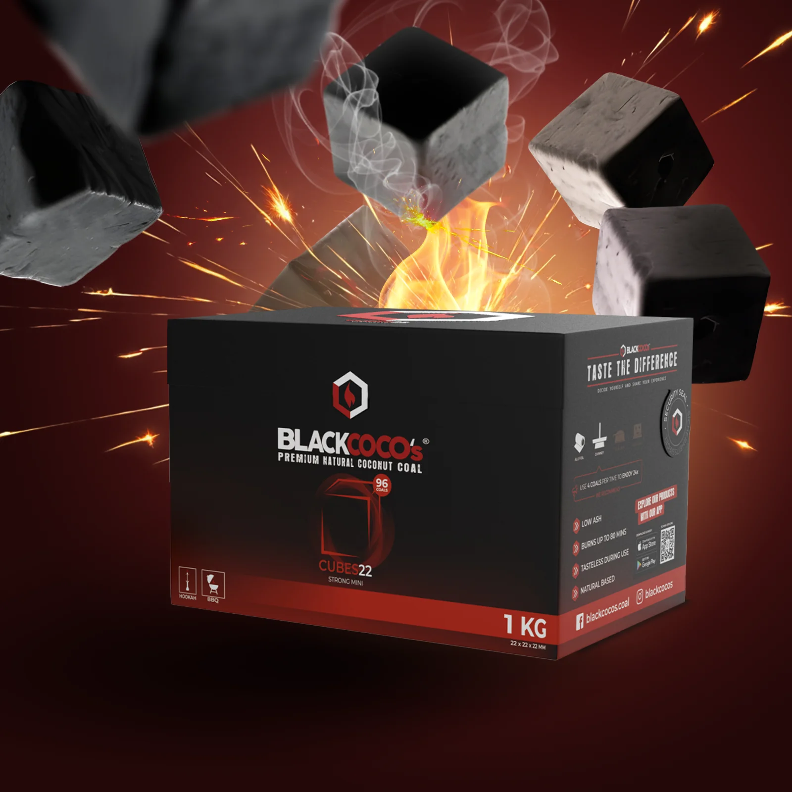 BLACKCOCO's Cubes1 kg | Premium Naturkohle bestellen 1