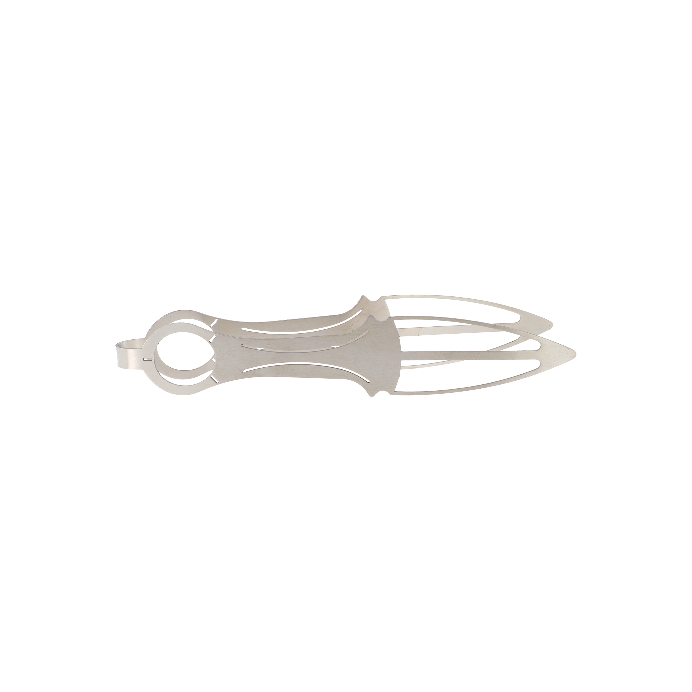 AO - Coal - Tongs - Stainless Steel - Warrior