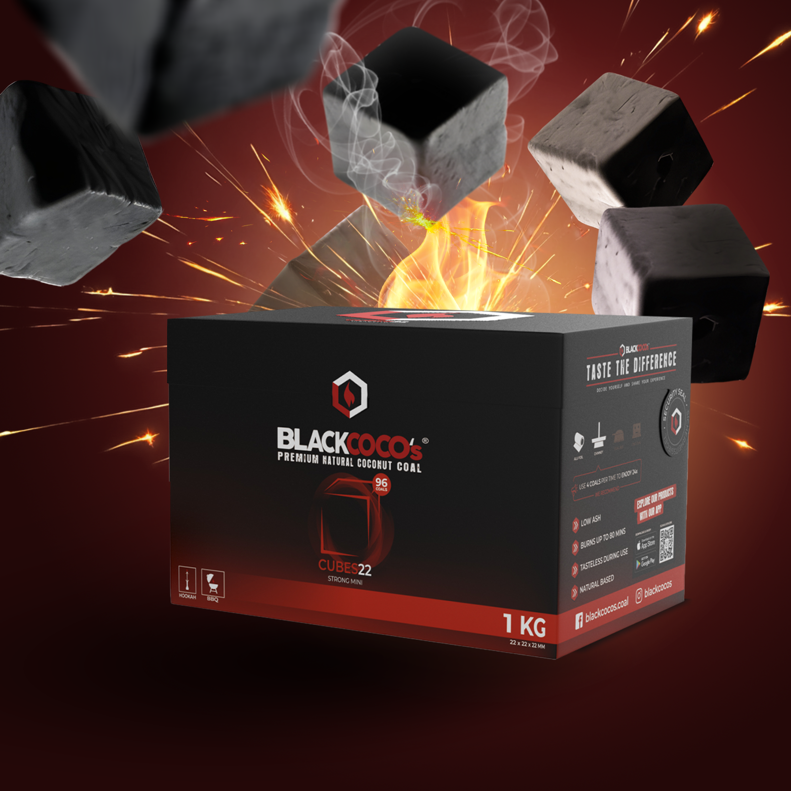 BLACKCOCO's Cubes1 kg | Premium Naturkohle bestellen 1